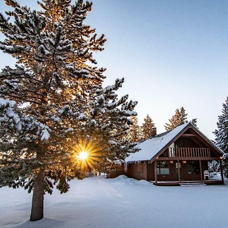 Yellowstone Cozy Caldera Cabin Island Park Zewnętrze zdjęcie