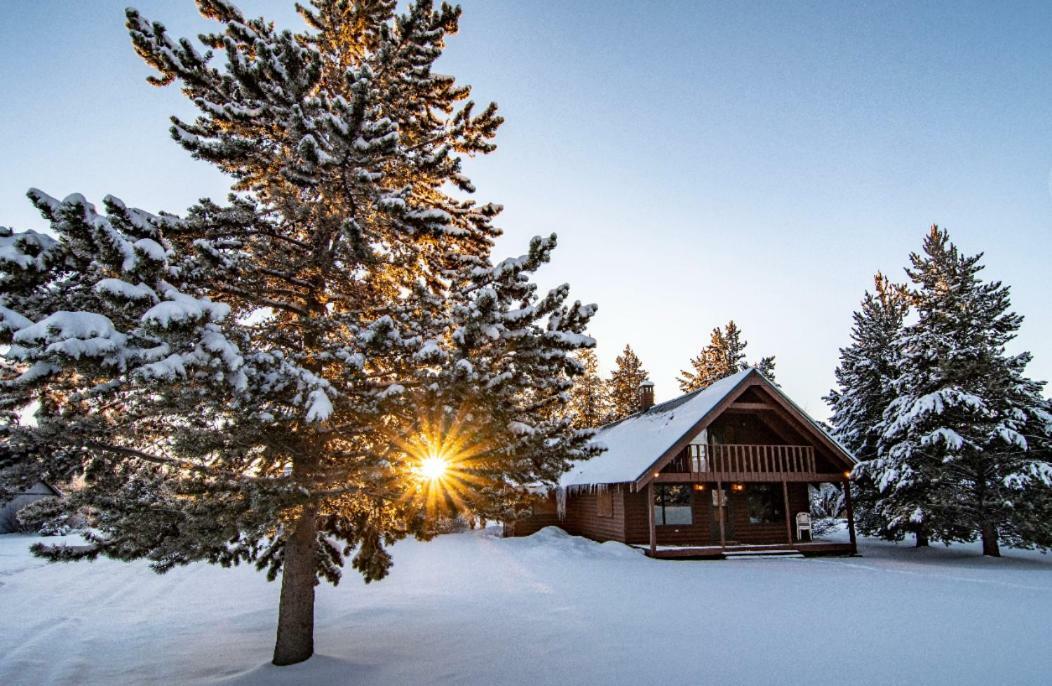 Yellowstone Cozy Caldera Cabin Island Park Zewnętrze zdjęcie